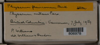Image Associated With the Occurence